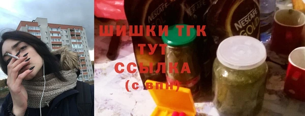 прущие грибы Михайловка