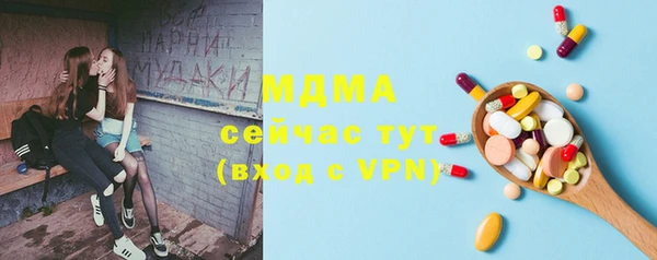 прущие грибы Михайловка