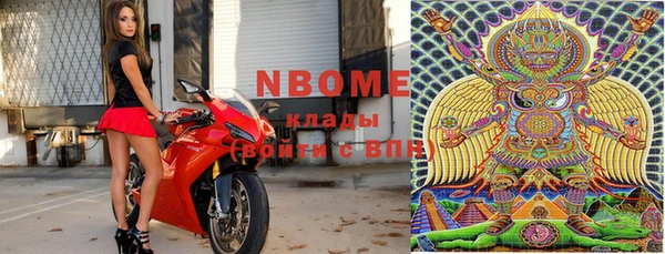 прущие грибы Михайловка