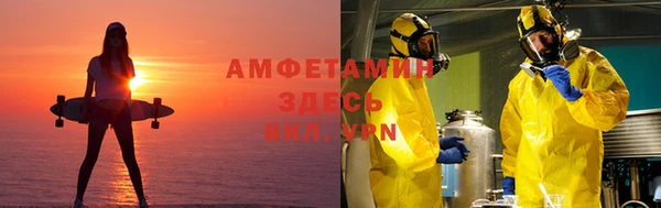 прущие грибы Михайловка