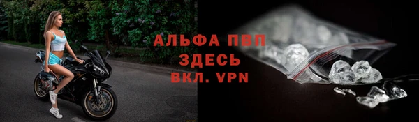 прущие грибы Михайловка