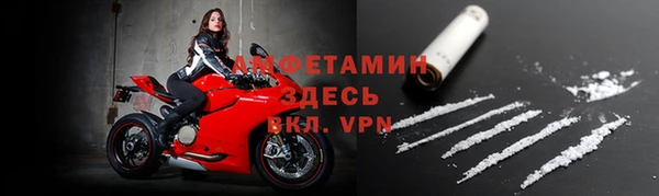 прущие грибы Михайловка