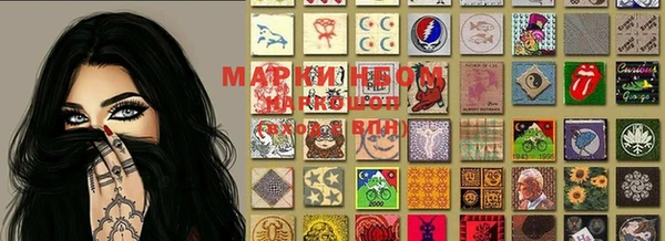 прущие грибы Михайловка