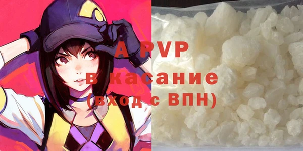 прущие грибы Михайловка
