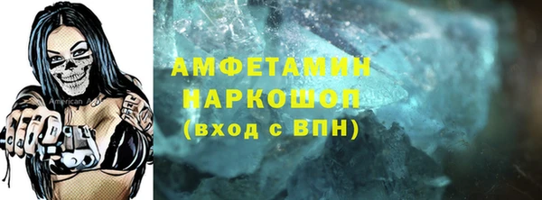 прущие грибы Михайловка