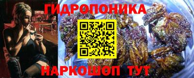 спиды Шахты