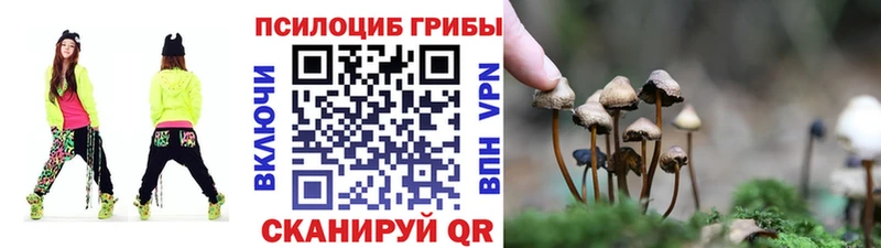 Галлюциногенные грибы Cubensis  Липецк 