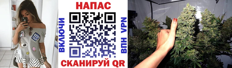 MEGA сайт  это официальный сайт  Бошки Шишки Bruce Banner  Липецк 
